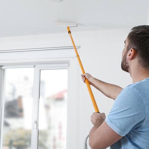 Langley Interior Painters